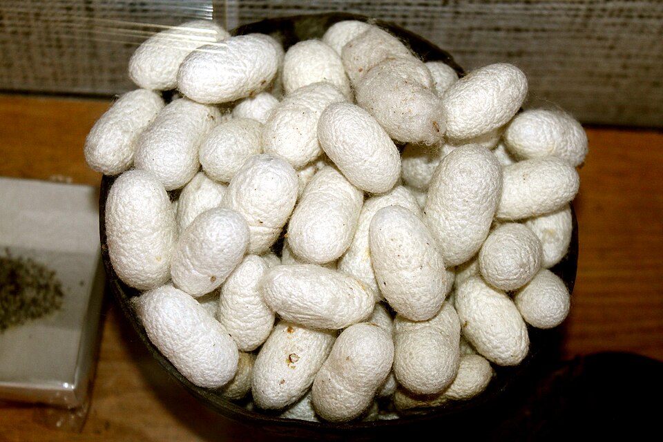 Kəlağayı basma